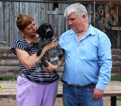 Новые владельцы